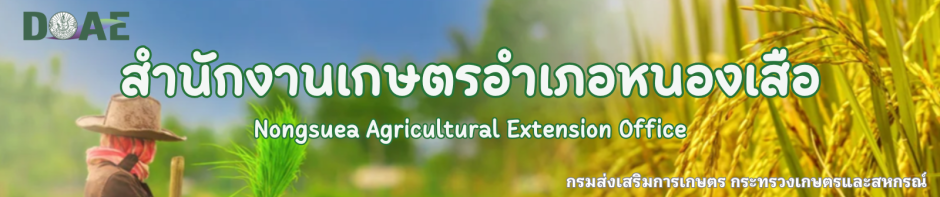 สำนักงานเกษตรอำเภอหนองเสือ